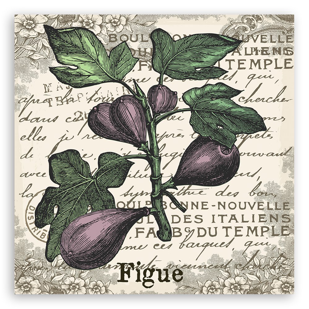 Emaga Obraz na płótnie, Figi vintage - 60x60